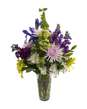 As Shown size,  inches height and  inches wide.